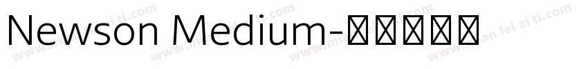 Newson Medium字体转换